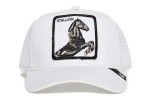 Cap Horse Stallion Goorin Bros white