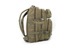 Immortal Molle 20L backpack green OD